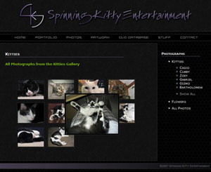 Spinning Kitty Entertainment