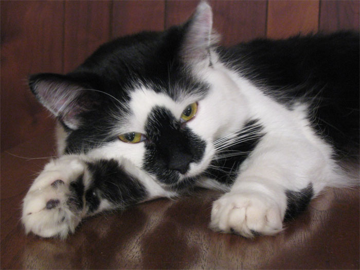 Bartholomew